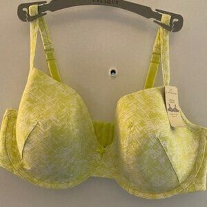 Cacique Green White Lightly Lined Underwire Convertible Strap T-shirt Bra